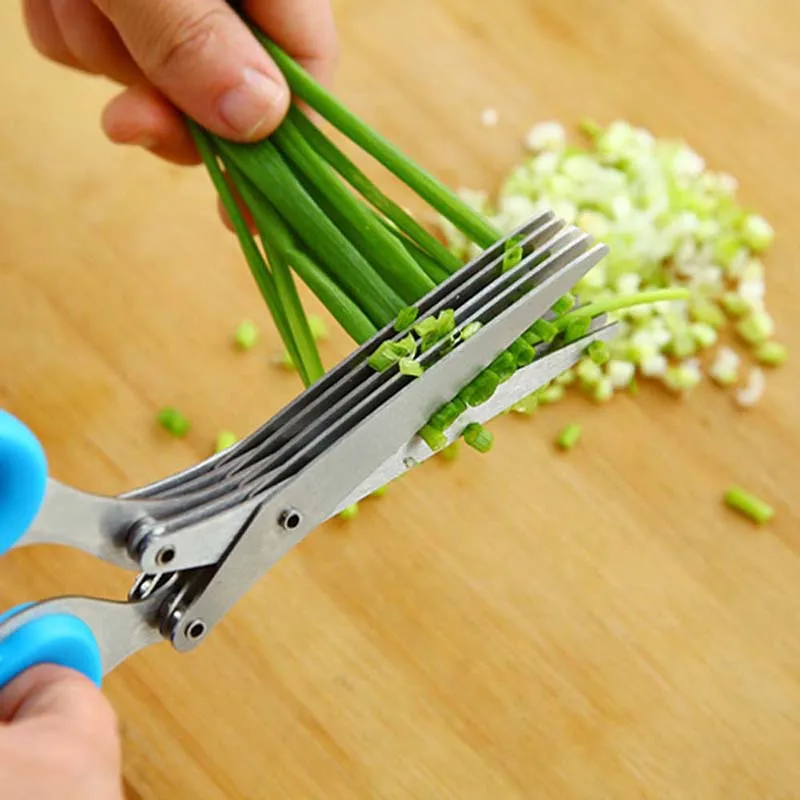 5-слойные ножницы для зеленого – обзор и цена Herb Scissors 5 Blade
